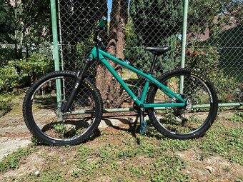 Kellys Whip 50 custom