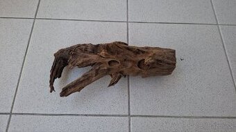 Mangrovovy koren velkost M