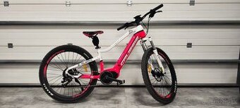 Predam Crussis e-Guera