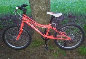 Detský bicykel HARRY CORKY 20'