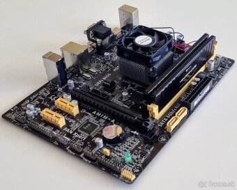 ASUS AM1M - A + AMD Athlon X4 5350 + 16GB DDR3 - 1