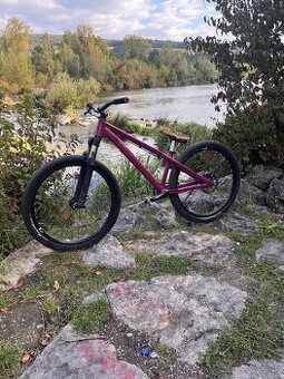 Ctm Dirtking