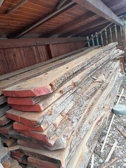 Foršne z duba  2 ročne