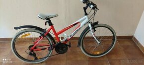 Detský bicykel veľ. 24 palcov - 1