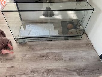 Terarium - 1