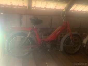 Babetta 207,Karpati