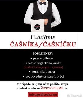 Brigáda:Čašník/čašníčka