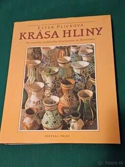 Vzácna publikácia: Krása hliny: Ester Plicková,100% stav