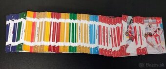 Hokejové kartičky SHL 2024/25