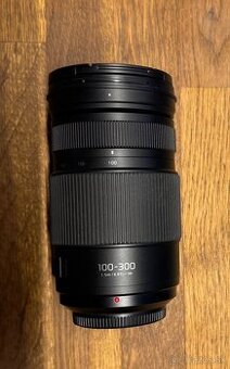 Panasonic Lumix G Vario 100 – 300 mm F4.0 – F