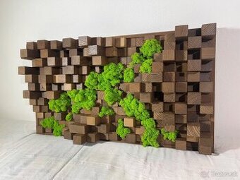 Machové obrazy - akustické difúzory