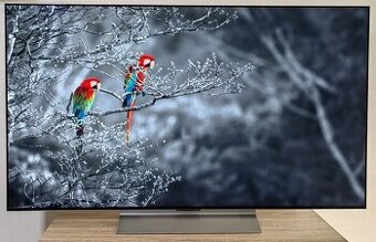 Predám LG OLED55C22 Skoro nepoužívaný.