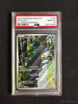 151 (MEW)	graded pokemon card slab	Psyduck 	175	psa 10