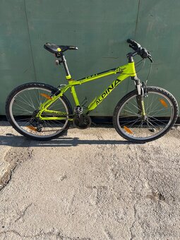 alpina eco 20