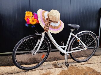 Prekrásny, dámsky bicykel retro Štýl