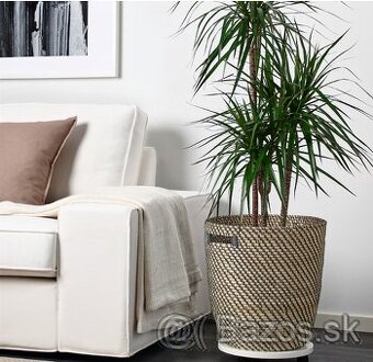 RÅGKORN, veľký kvetináč IKEA