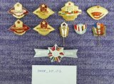 Vojenske odznaky cviceni Varsavskej zmluvy (sada_VZ_02)