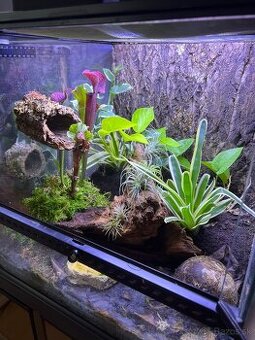 ExoTerra terarium 45x45x45cm