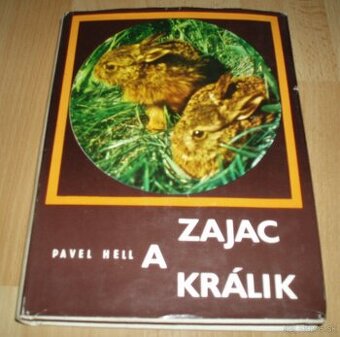 Zajac a králik
