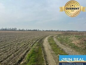 Zálesie orná pôda na predaj 3237m2 /21,- Eur / m2