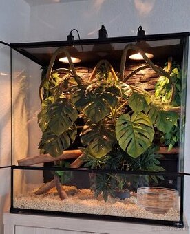 Terarium Repti Planet 90x45x90