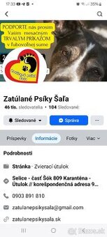 Pomoc psíkom v útulku