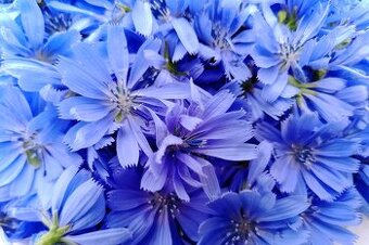 Prírodná hormonálna liečba