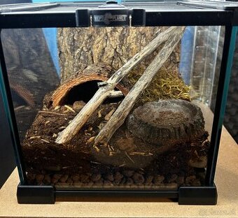 Zariadené terárium