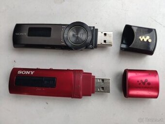Sony NWZ-B183F