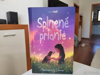 Splnené prianie - Barbara O Connor - NOVÁ