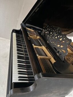 Kríslo R. Görs & Kallmann (Berlin) – 160 cm - 1