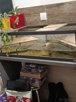 Akvárium pre korytnačky aquatlantis Tortum čierne