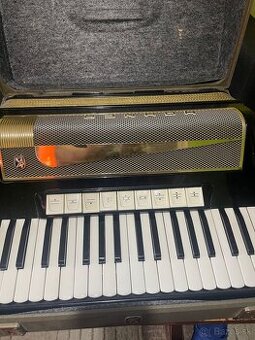 Hohner LuciaVI.P 96 basov