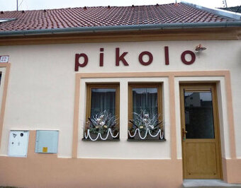 Izby na dlhodobý prenájom v centre Nového Mesta nad Váhom