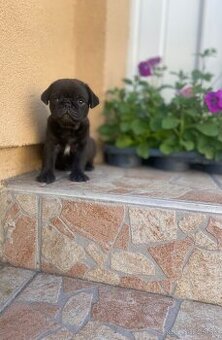 mops