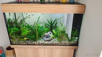 Akvarium juwel rio led 125L