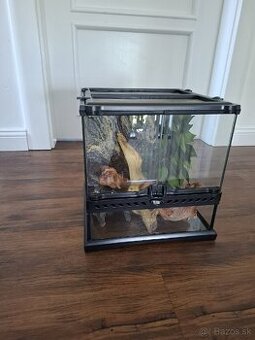 Terarium na predaj 30x30x30