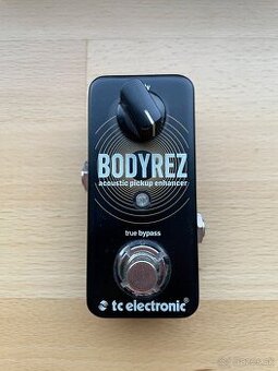 TC Electronics BODYREZ