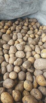 Predám krmné zemiaky