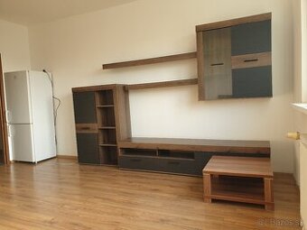 1 izbový byt - prenájom