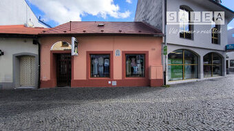 RODINNÝ DOM V CENTRE MESTA, PODLAHOVÁ PLOCHA 248m2, ŽILINA