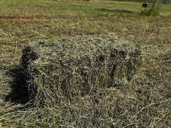Male baliky sena a lucerky