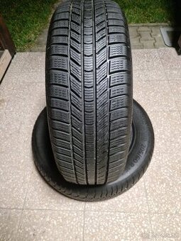 205/60 R16  Continental WinterContact TS 870