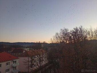 2 izbový byt Krculova