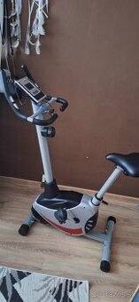 Predan stacionárny bickel