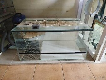 Terarium