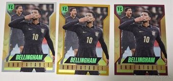 UNBETABLE BELLINGHAM- TOP CLASS COLOUR  268