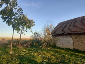 Pozemok na Bojnej/TO za dobrú cenu