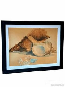 Obraz - Akvarel - umelecké dielo - Mušle - shells