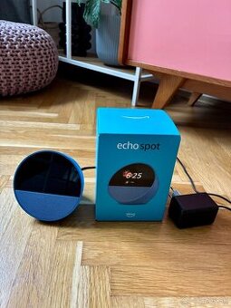 Alexa Echo spot